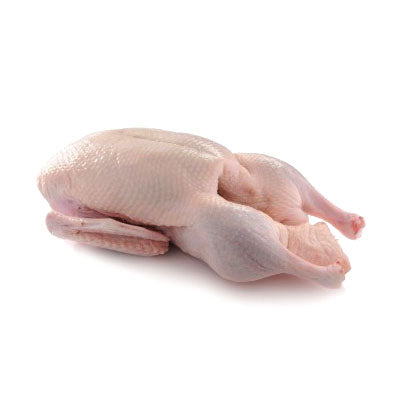 * Sveže domaće guščije meso iz slobodnog uzgoja, vakum pakovanje 3kg, 1.590 din/kg
